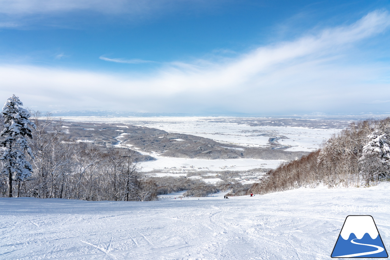 カムイスキーリンクス｜この上ないほど澄んだ青空と極上のパウダースノー。やっぱり『カムイ』は外れない！